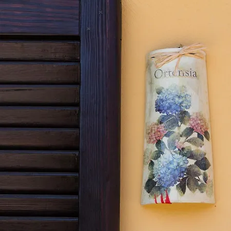 Casa Del Grande Vecchio 2 게스트하우스 아이라스카